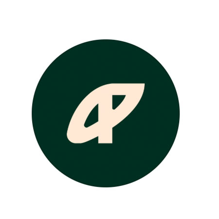 Pauer Studio